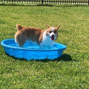 Meet your Posher, Synamynn